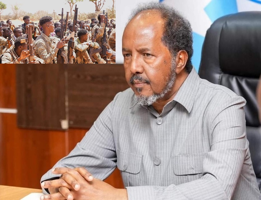 Madaxweyne Hassan Sheikh Mohamud.jpg